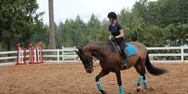 Adult-3-Day-Riding-and-Horsemanship-Clinic-image-1